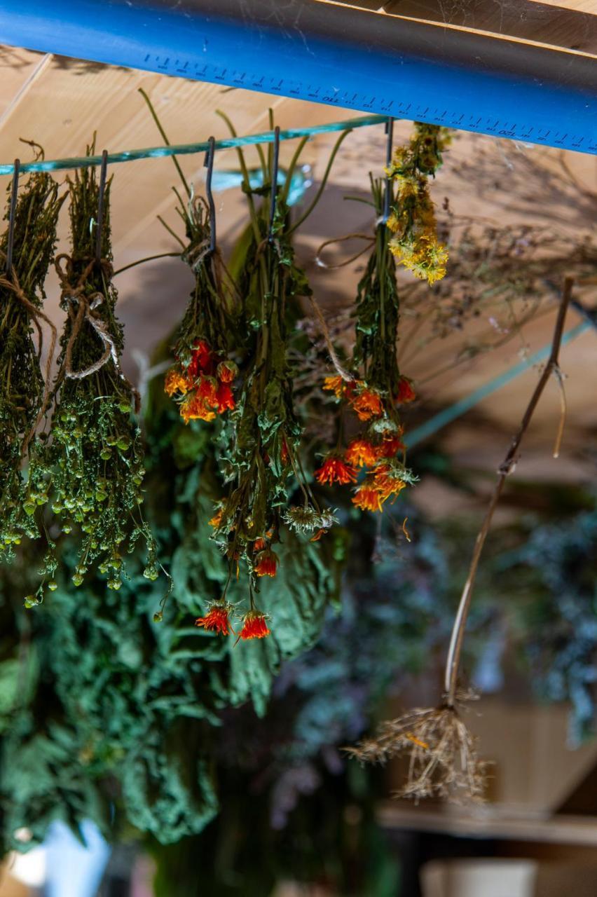 Heimat - Das Natur Resort Pragraten ภายนอก รูปภาพ